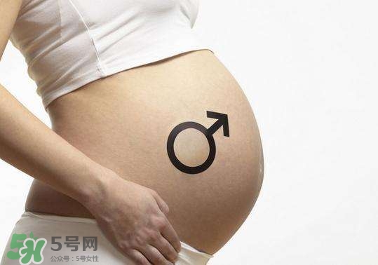 怎么問醫(yī)生胎兒性別？醫(yī)生會告訴胎兒性別嗎？