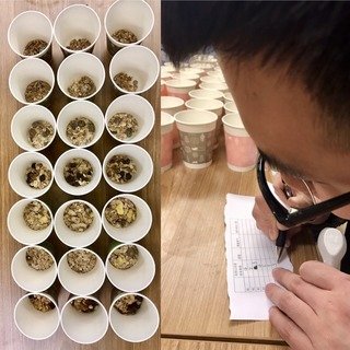 麥片什么牌子好？進(jìn)口麥片哪個(gè)牌子好吃