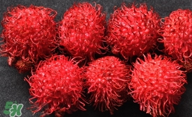 紅毛丹什么時候上市？紅毛丹什么季節(jié)有？