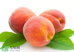 桃子為什么不能和西瓜一起吃？桃子和西瓜為什么不能一起吃？