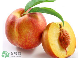 桃子可以放冰箱嗎？桃子能放冰箱保鮮嗎？