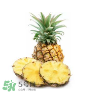 孕婦能吃菠蘿嗎？菠蘿孕婦能不能吃？