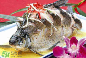 ?五月份吃什么魚？5月份吃什么魚？