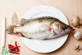 ?五月份吃什么魚？5月份吃什么魚？
