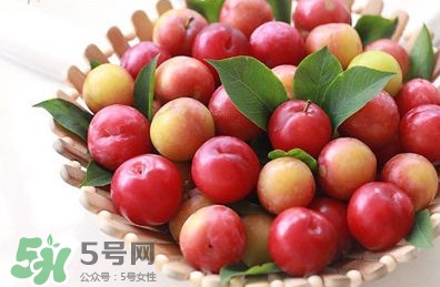 月經(jīng)期可以吃三華李嗎？月經(jīng)期能吃三華李嗎