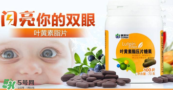 葉黃素真的有作用嗎？葉黃素的臨床試驗證明有用！