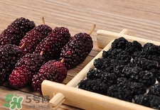 桑葚干怎么制作?桑葚干的制作方法 桑葚干怎么制作?桑葚干的制作方法