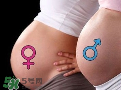 B超單數(shù)據(jù)怎么看男女？B超單看男女準(zhǔn)嗎？