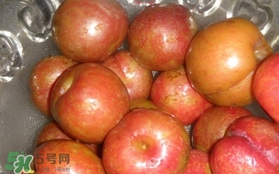 三華李可以泡酒嗎？三華李可以多吃嗎？