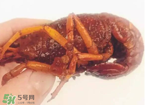周黑鴨小龍蝦好吃嗎？周黑鴨小龍蝦試吃評(píng)測(cè)