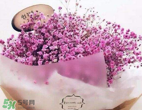 母親節(jié)可以送滿天星嗎？母親節(jié)能送滿天星嗎？
