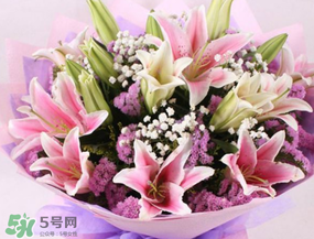 百合花多少錢(qián)一支2017？百合花多少錢(qián)一束2017？