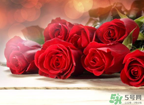母親節(jié)送什么顏色的玫瑰花？母親節(jié)送幾朵玫瑰花？
