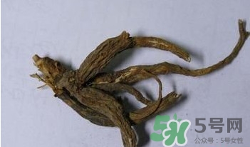 土瓜根是什么？土瓜根粉哪里有賣的？