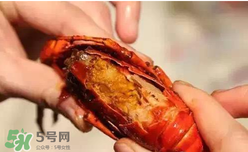 周黑鴨小龍蝦怎么吃？周黑鴨小龍蝦怎么吃圖解？
