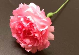 母親節(jié)可以送紙做的康乃馨嗎？康乃馨怎么折？