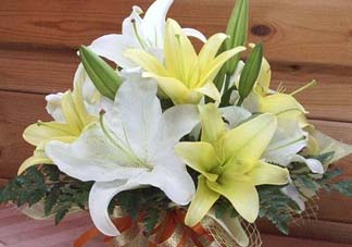 百合花多少錢一支2017？百合花多少錢一束2017？
