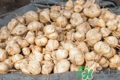 土瓜是涼性還是熱性？土瓜是寒性還是熱性？