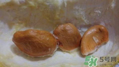 榴蓮核能種嗎？榴蓮核怎么種盆栽？