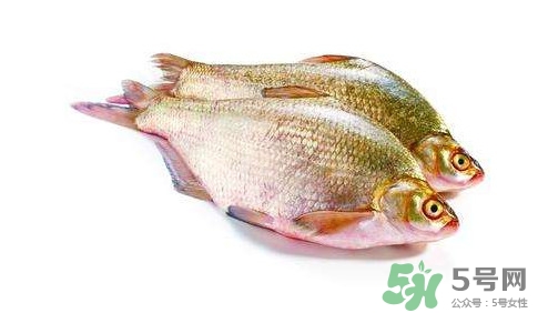 鳊魚怎么做好吃？鳊魚怎么燒好吃