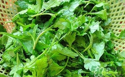 菊花腦怎么做好吃？菊花腦怎么做有營(yíng)養(yǎng)