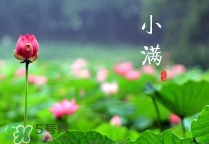 2017小滿(mǎn)是幾月幾日？小滿(mǎn)節(jié)氣養(yǎng)生