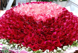 2017年520送什么花好？適合520送給女朋友的花推薦