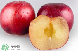 李子可以和西紅柿一起吃嗎？西紅柿和李子能同吃？