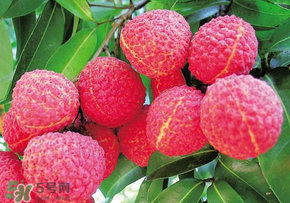 荔枝和蝦能一起吃嗎？荔枝與蝦同食會中毒嗎？