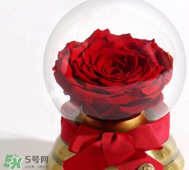 野獸派水晶球多少錢？野獸派水晶球音樂盒價格