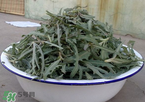 苦苦菜怎么腌制？怎樣腌制苦苦菜？