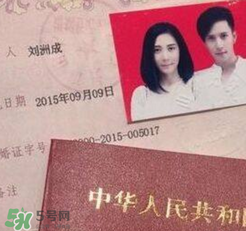 劉洲成老婆是誰？劉洲成老婆為什么離婚？