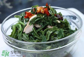 苦菜怎么保存？苦菜怎么保存時間長？