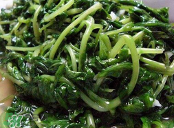 苦菜可以曬干嗎？苦菜怎么曬干？