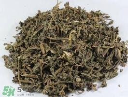 苦菜可以曬干嗎？苦菜怎么曬干？