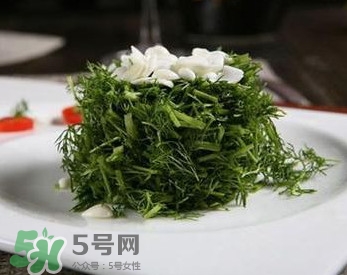 茴香菜怎么做好吃？茴香菜怎么炒好吃