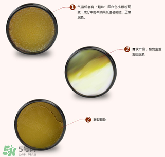 地球媽媽護(hù)臀膏能擦臉嗎？地球媽媽護(hù)臀膏可以擦臉用嗎？