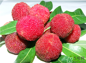 五月份有楊梅嗎？五月份的楊梅能吃嗎？