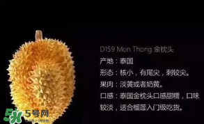 金枕頭和貓山王哪個(gè)好？金枕頭和貓山王的區(qū)別