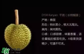 金枕頭和貓山王哪個(gè)好？金枕頭和貓山王的區(qū)別