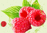 刺泡的熱量 刺泡可以減肥嗎？
