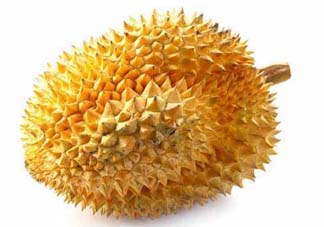 金枕頭和貓山王哪個(gè)好？金枕頭和貓山王的區(qū)別