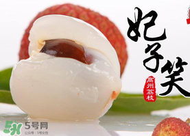 荔枝為什么叫妃子笑？荔枝和妃子笑的區(qū)別