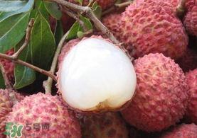 吃荔枝被酒駕怎么辦？吃荔枝酒駕是真的嗎？