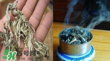 艾葉可以驅(qū)蚊子嗎？艾葉能驅(qū)蚊子嗎