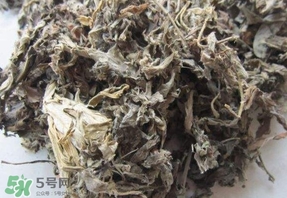 艾葉能治胃病嗎？艾葉可以治慢性胃炎嗎