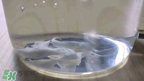 Thinkbaby防曬霜真假辨別 Thinkbaby防曬霜有假貨嗎？