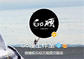 go硬工作室和卓偉有什么關(guān)系？go硬工作室是卓偉前員工成立的？
