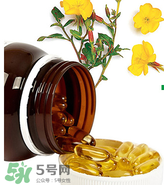 男人可以吃見月草膠囊嗎？見月草膠囊適不適合男性？