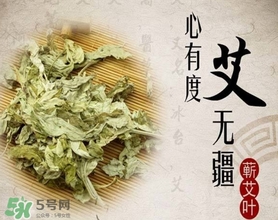 艾葉是艾蒿嗎？艾葉是什么樣的
